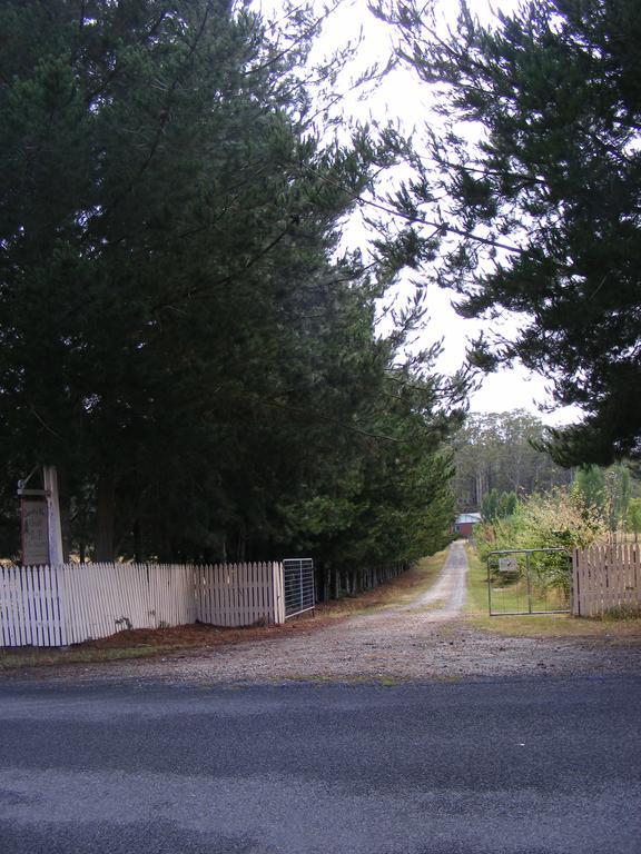 Quamby Pines Chalet Vila Deloraine Exterior foto